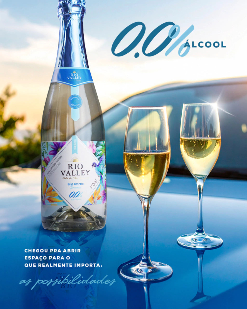 ESPUMANTE MOSCATO BRANCO ZERO ALCOOL RIO VALLEY 750ML
